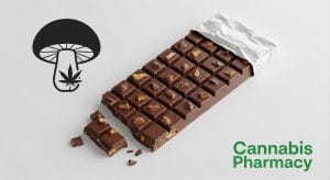 Mushroom Chocolate Bars