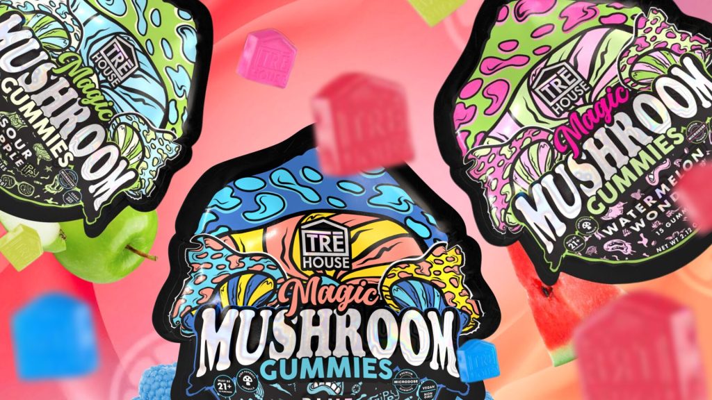 Discover Why Flavored Mushroom Gummies Offer a Superior Taste Experience