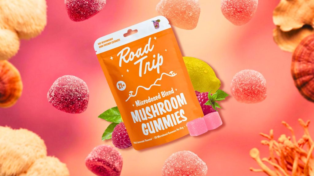 How Functional Mushroom Gummies May Support Brain Health and Cognition