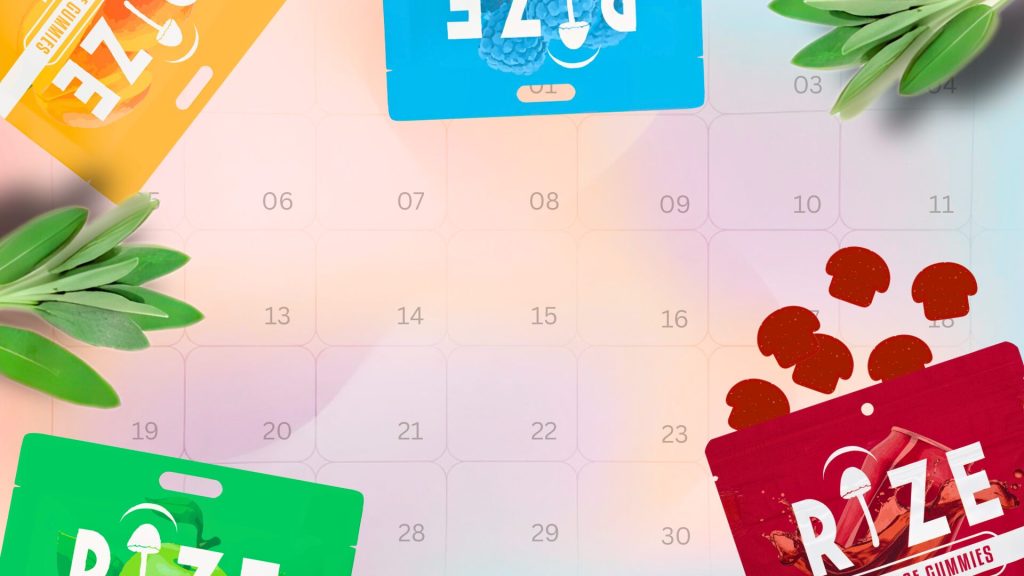 Taking Functional Mushroom Gummies Daily: Your 30-Day Wellness Journey