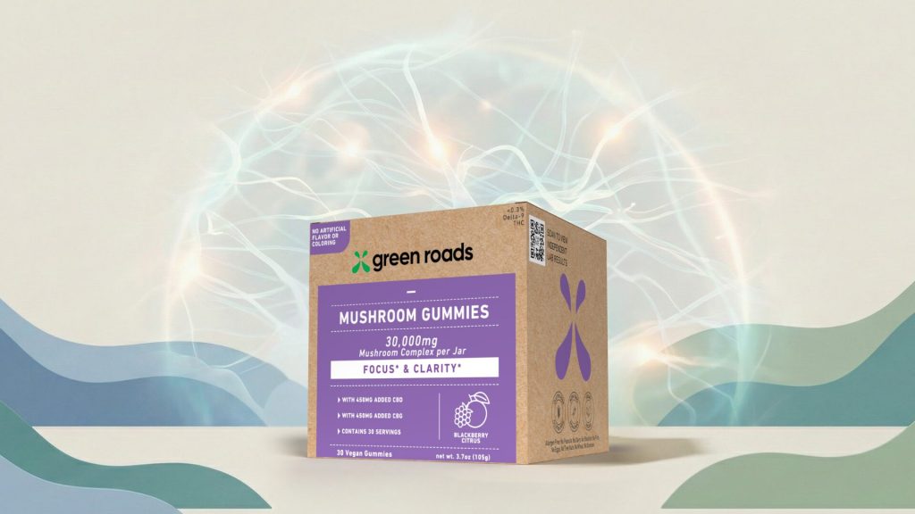 Unlock Your Brain's Potential: A Complete Guide to Mushroom Gummies for Cognitive Support
