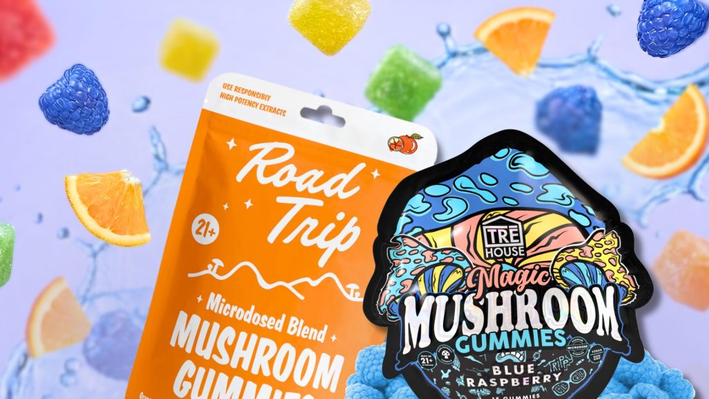 unlocking wellness your comprehensive guide to mushroom gummies