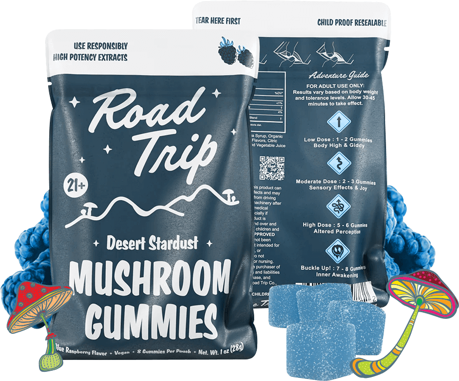 Caring for palm trees with annual pruning and seed pod removal